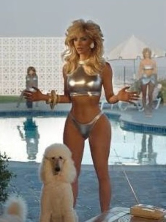SKIMS Other - NWT! SKIMS Limited Edition - Metallic Swim - Nickel / Silver Bikini Set